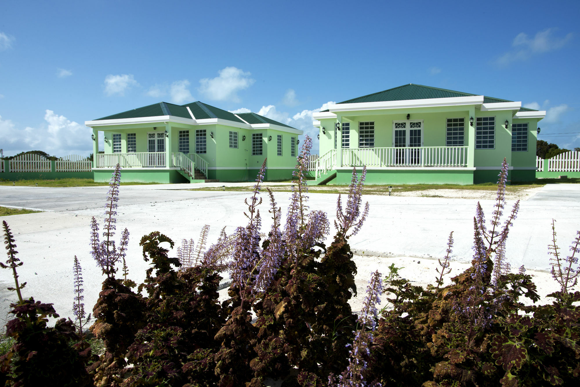 Sea Grape Villas The Settlement Buitenkant foto