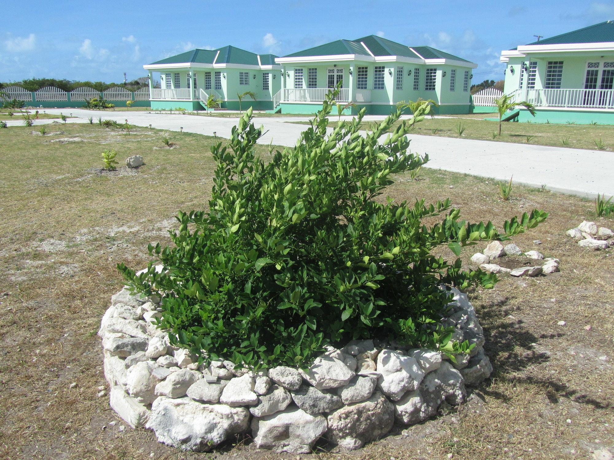 Sea Grape Villas The Settlement Buitenkant foto
